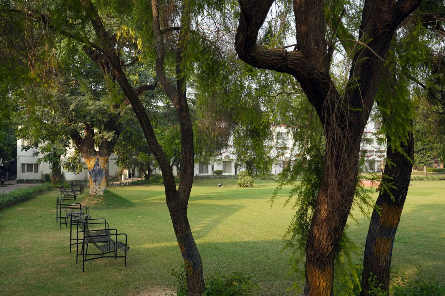 Resort Country Club, Manesar-WorldHotels Distinctive 18/21