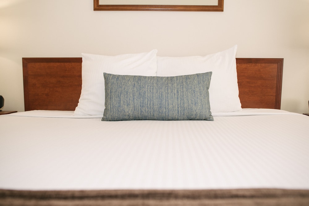 Best Western Buffalo Ridge Inn 22/33