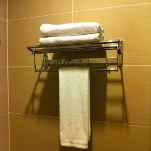The Regency Garden Hotel 33/50