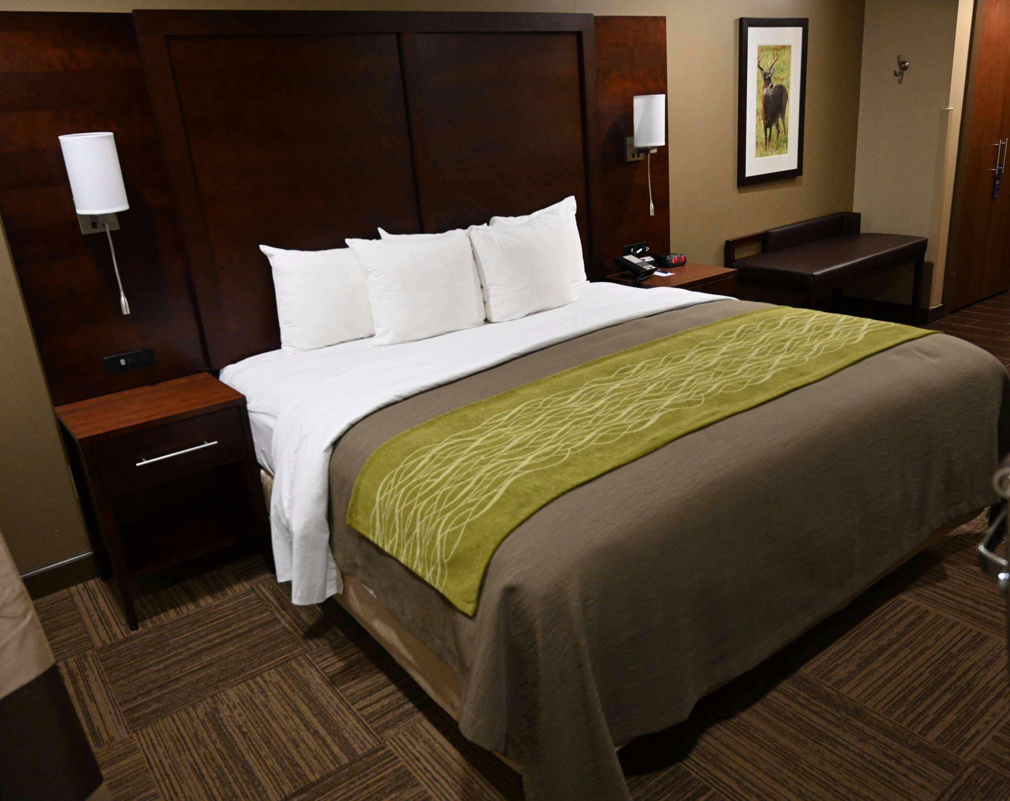 Giles Hotel Inn & Suites 9/31