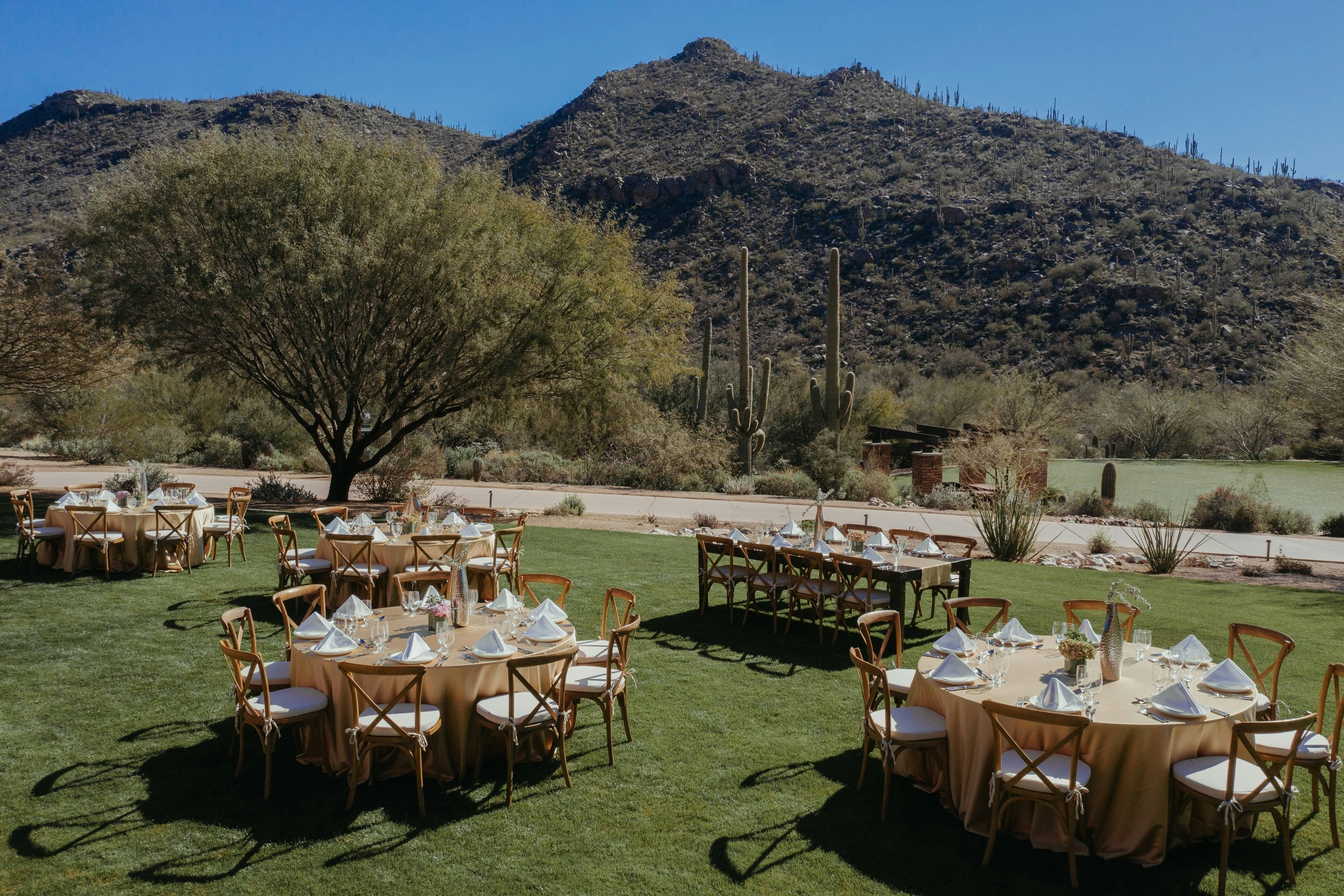 The Ritz Carlton Dove Mountain 44/51