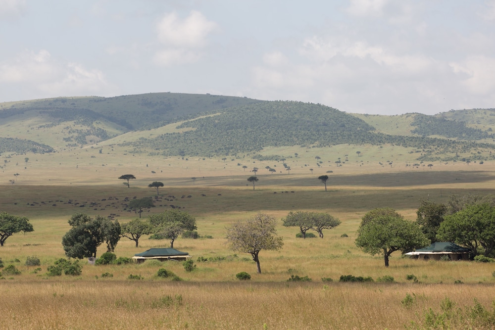 Sand River Masai Mara 27/43