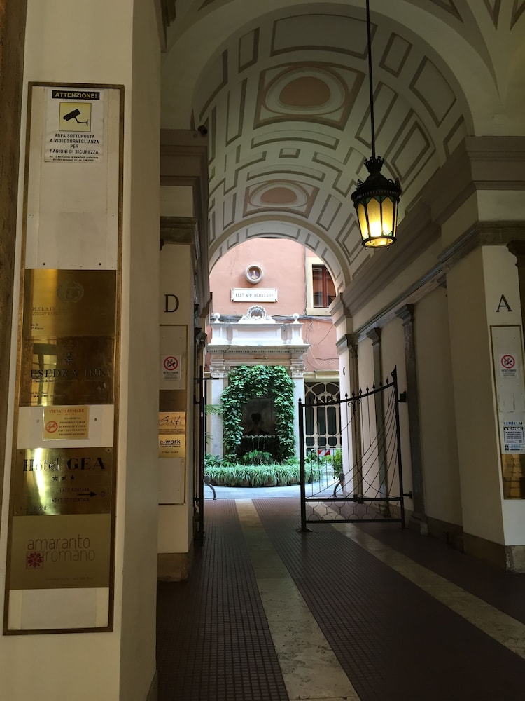 Amaranto Romano 5/50