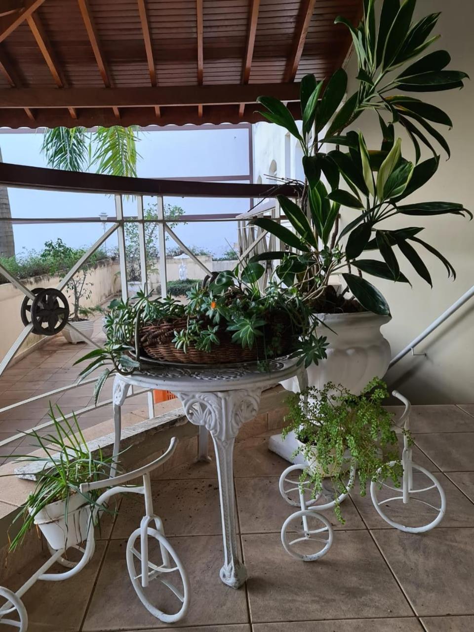 Vitoria Garden Hotel 33/50