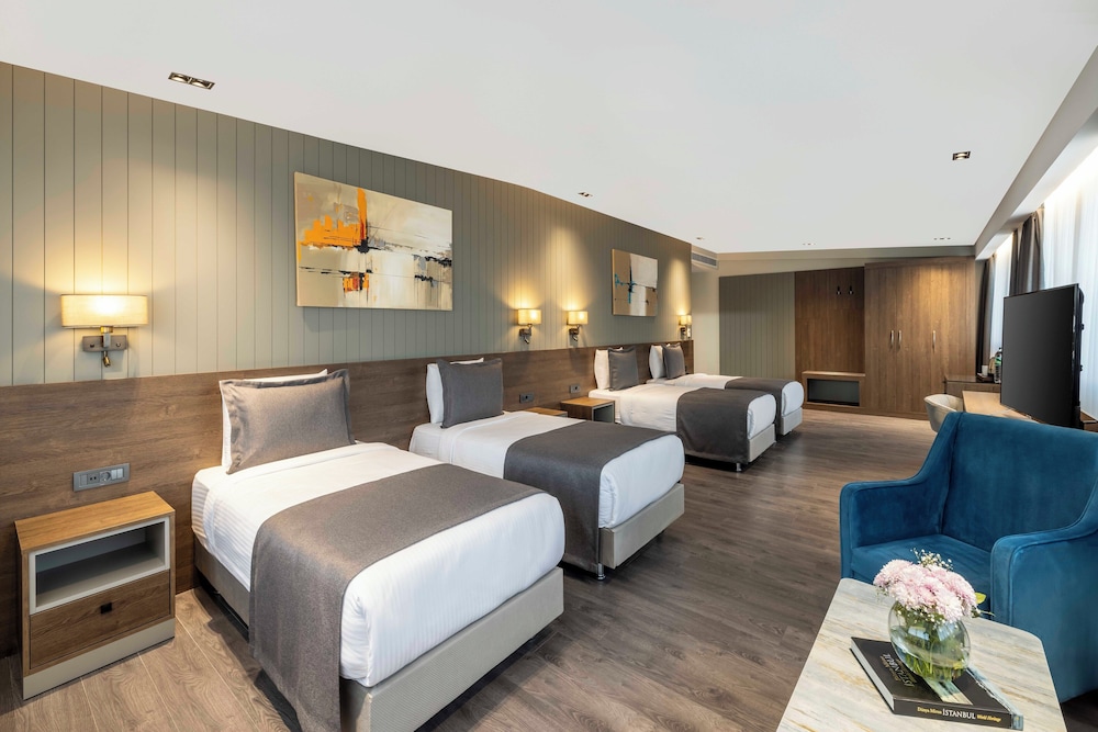 Ezkar Bathonea Art Istanbul Hotel 20/60