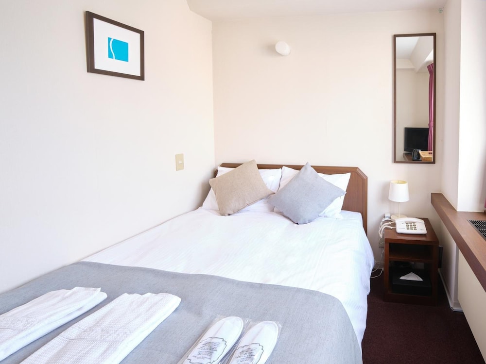 Pod Select Hotel Shinjuku (ex City Hotel Lonestar Shinjuku) 12/39