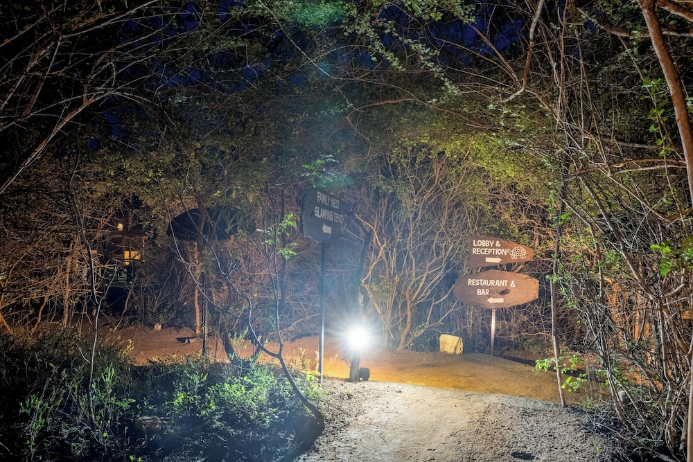 Leopard Nest Luxury Campsite 45/50