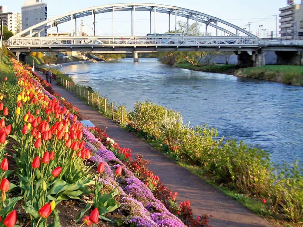 Hotel Pearl City Morioka 28/31
