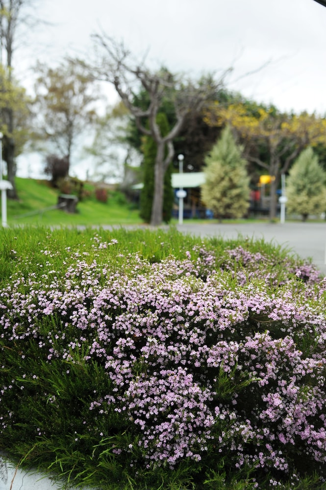 Blenheim TOP 10 Holiday Park 52/56