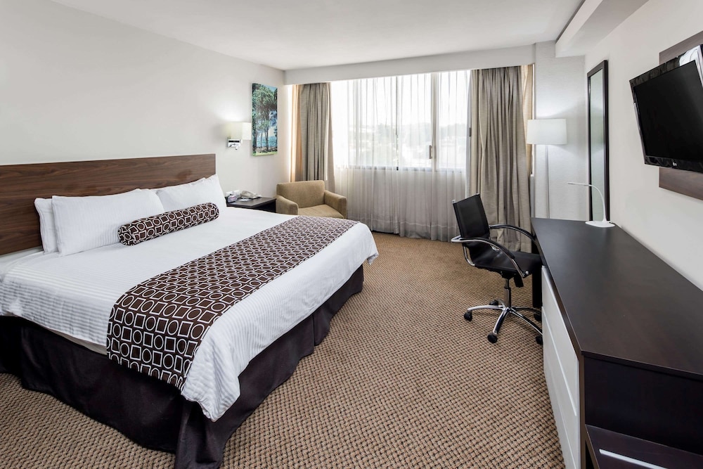 Wyndham Executivo Culiacan 52/60