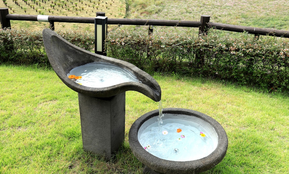 Y Resort Jeju 38/73
