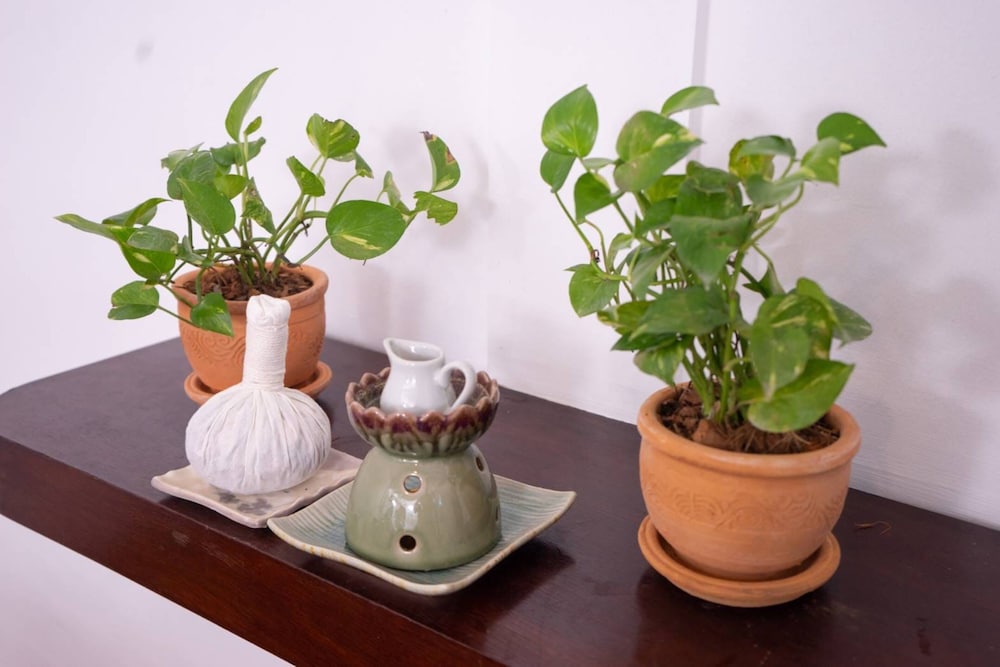 Amaravati Wellness Center Chiangmai 27/50