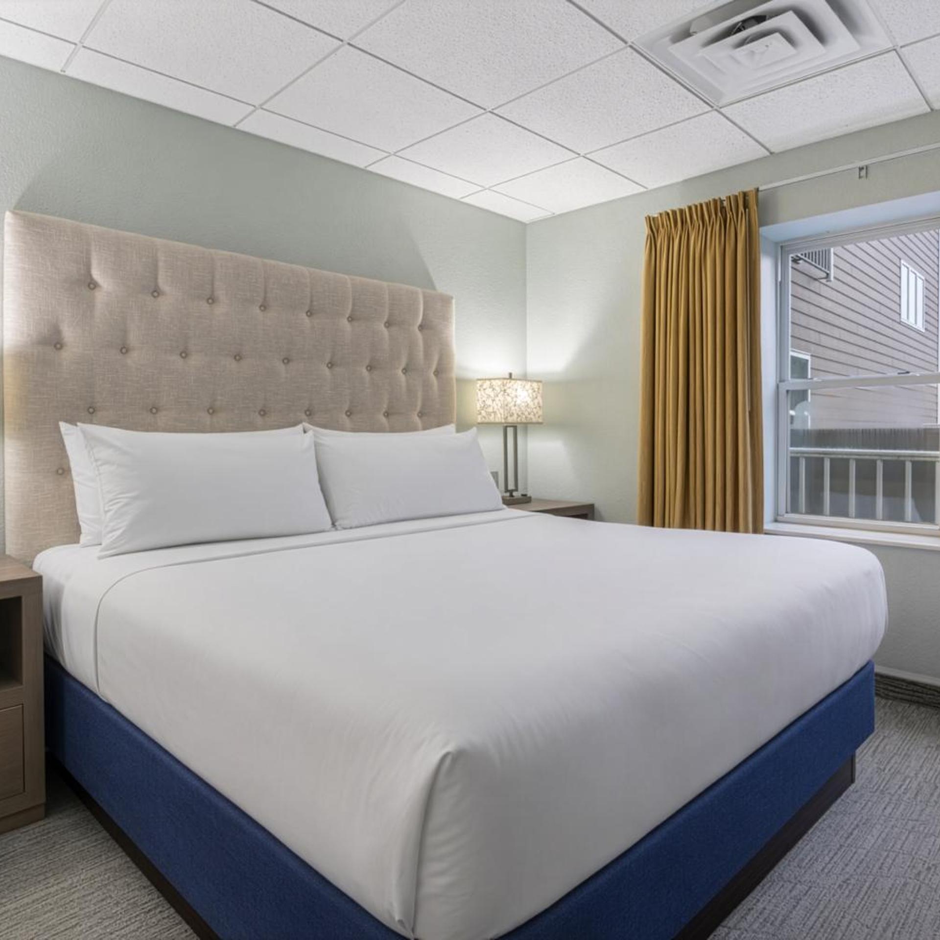 2 Bedrooms, Suite