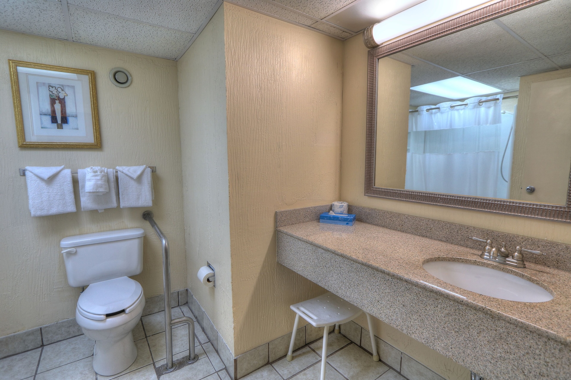 STANDARD, KING BED, MOUNTAIN SIDE, ACCESSIBLE