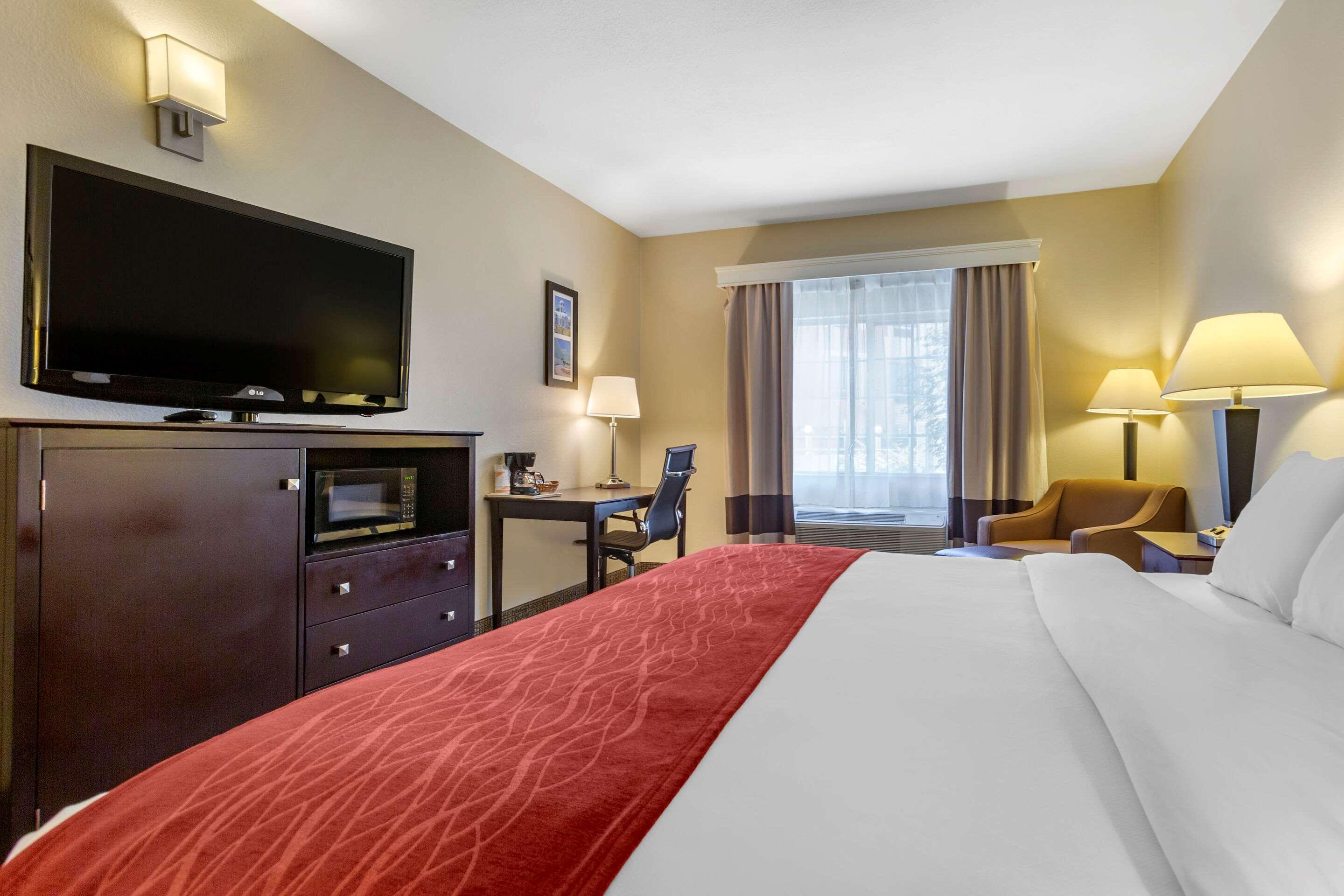 SUITE, KING BED, ACCESSIBLE