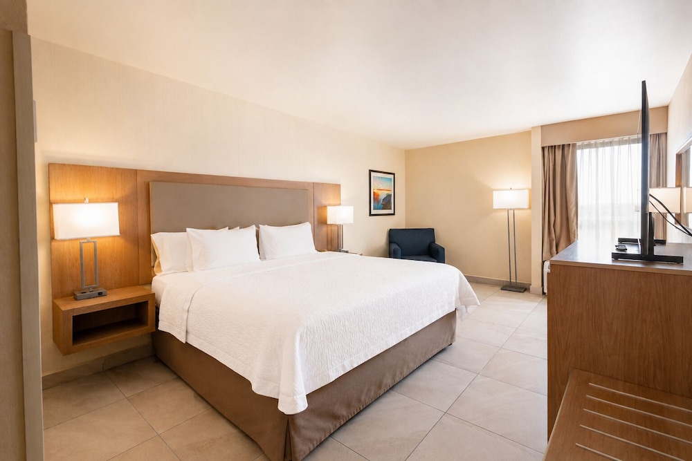 Room, King Bed, Sofa