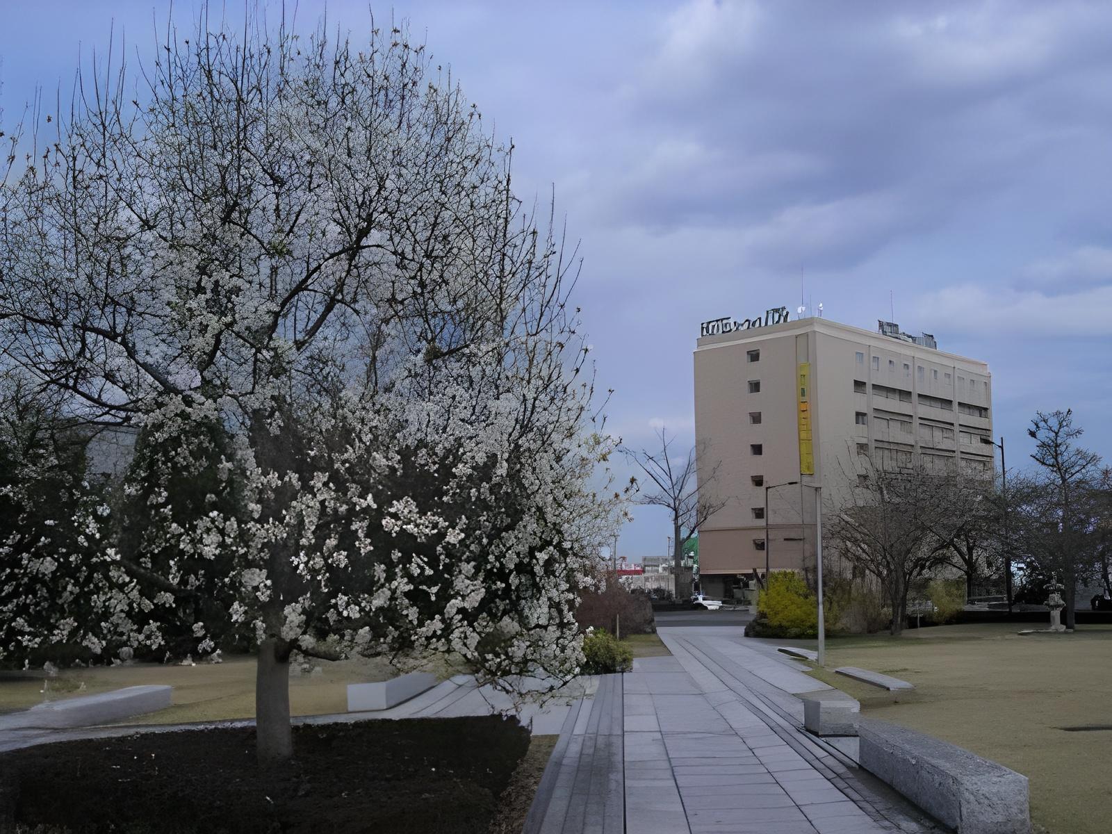 Hotel Sealuck Pal Mito 31/34