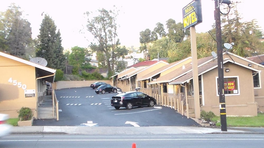 Laurel Inn 28/34