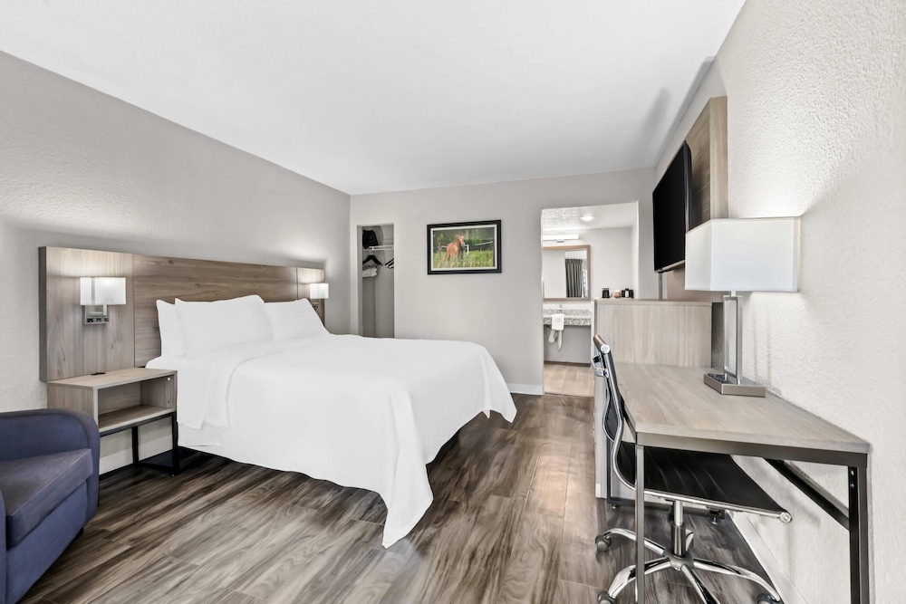ROOM, KING BED, ACCESSIBLE