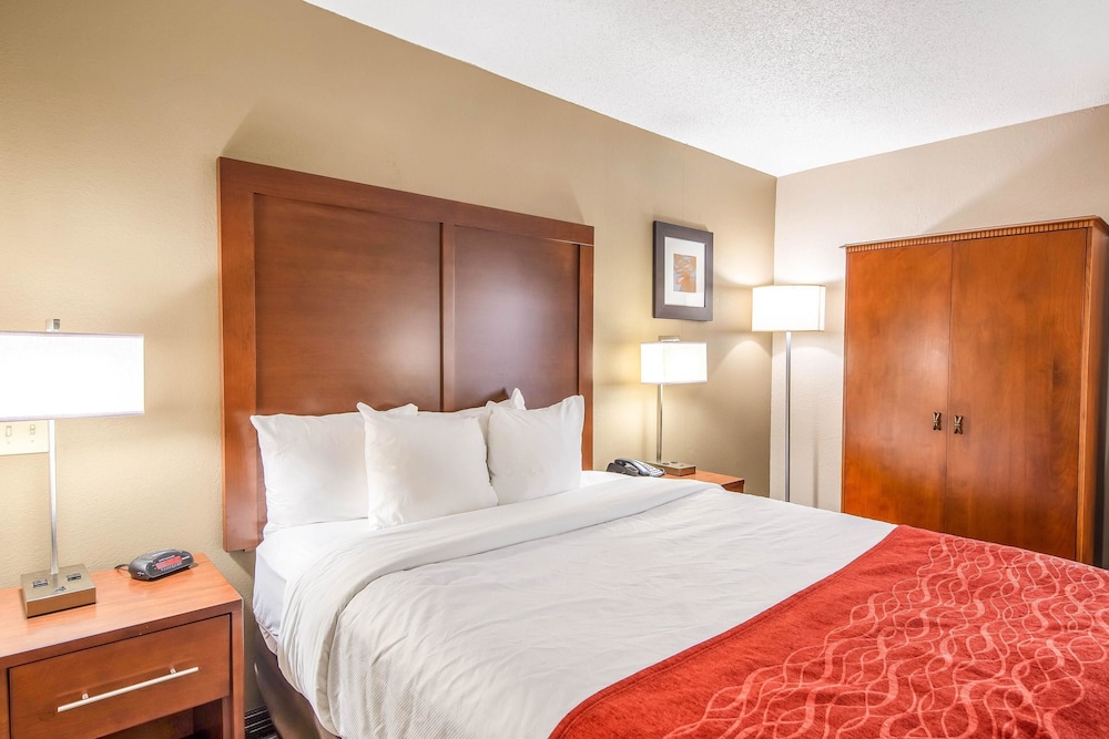 Comfort Inn Greenville - Haywood Mall 20/55