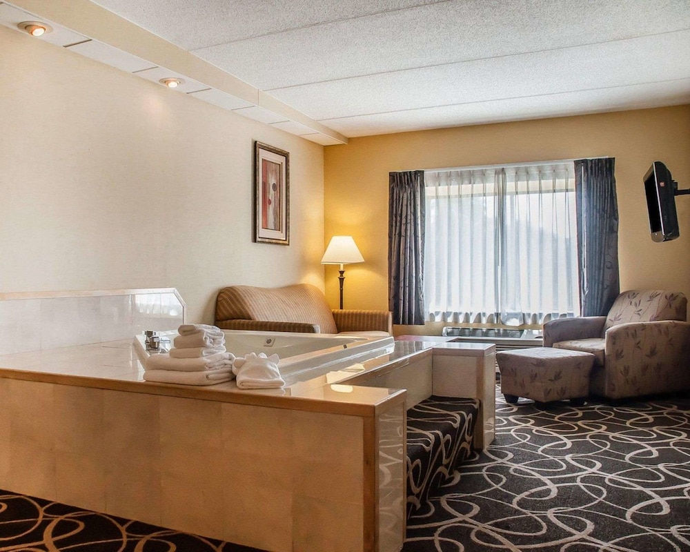 Quality Hotel & Suites At The Falls 40/51