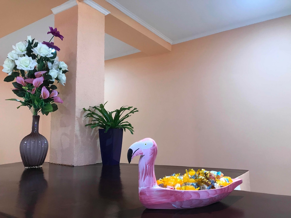 Hotel Amayal 12/50