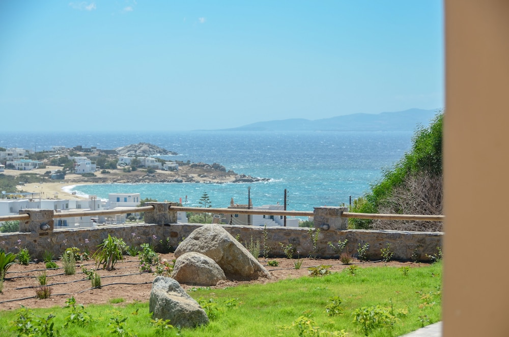 Naxos Luxury Villas 20/36