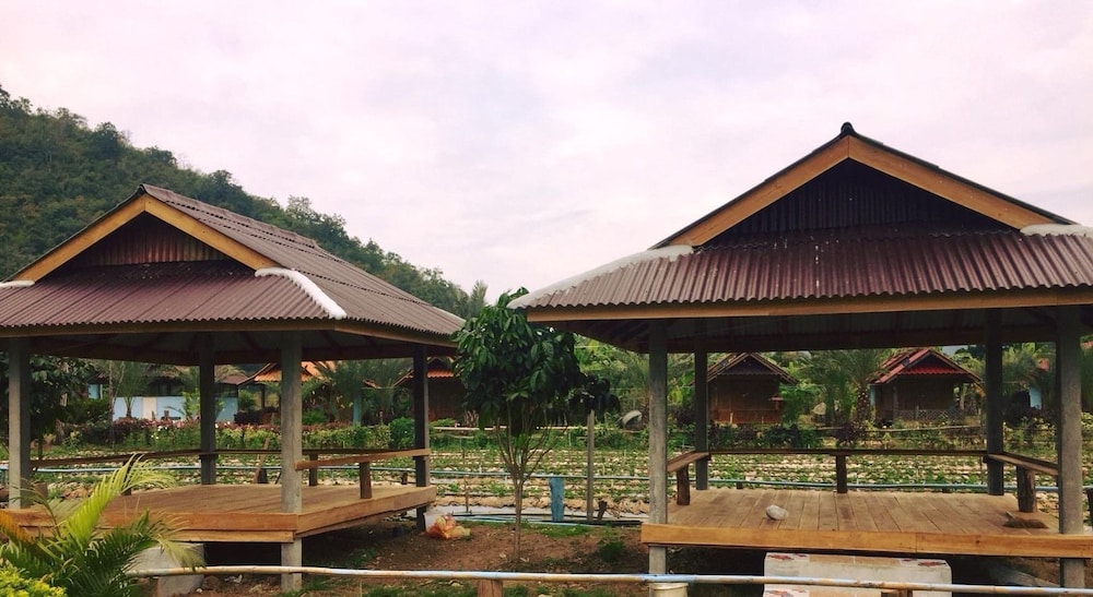 Wongwan Farm 10/28