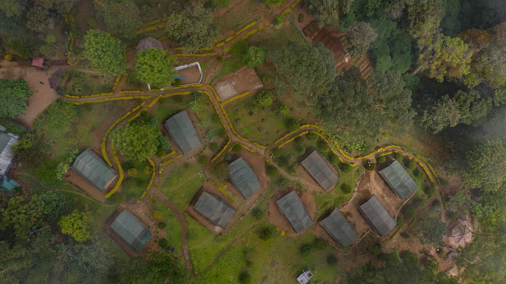 Nature Zone Resort 27/42