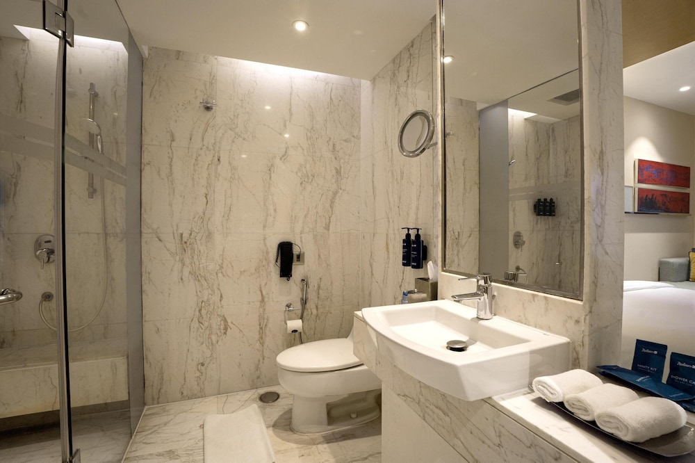 Radisson Blu Hotel Amritsar 69/70