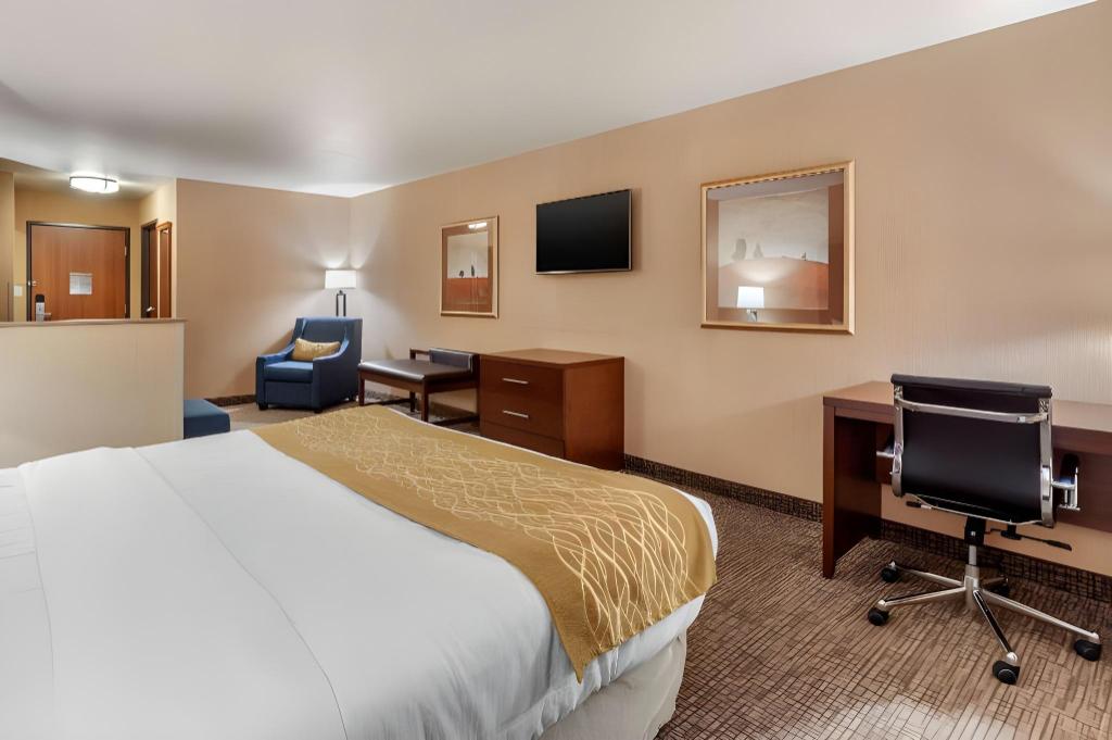 جناح بغرفة نوم واحدة، Comfort Inn & Suites Mitchell I-90 5/9