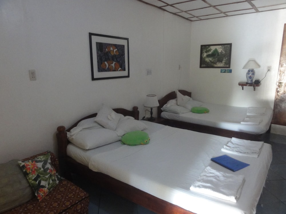 Sea Turtle House 6/50