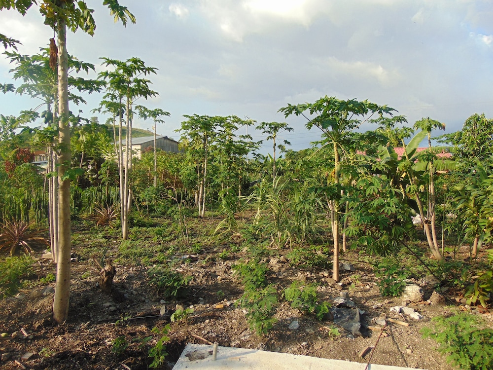 Residêncial Tamarindos 31/36
