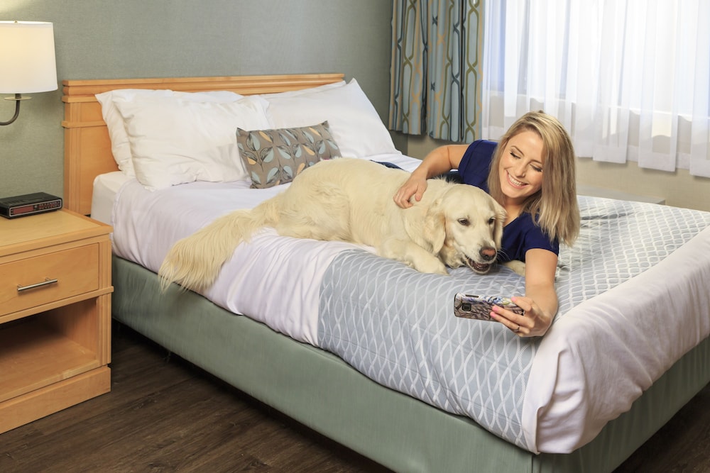 Accent Inns Kamloops 22/54