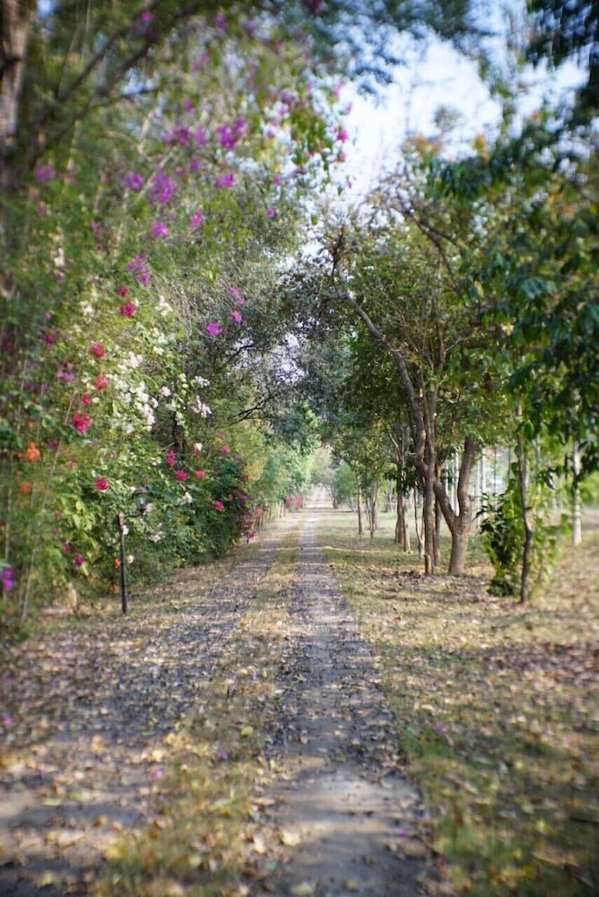 Suan Phueng Pa Wai Resort 27/50