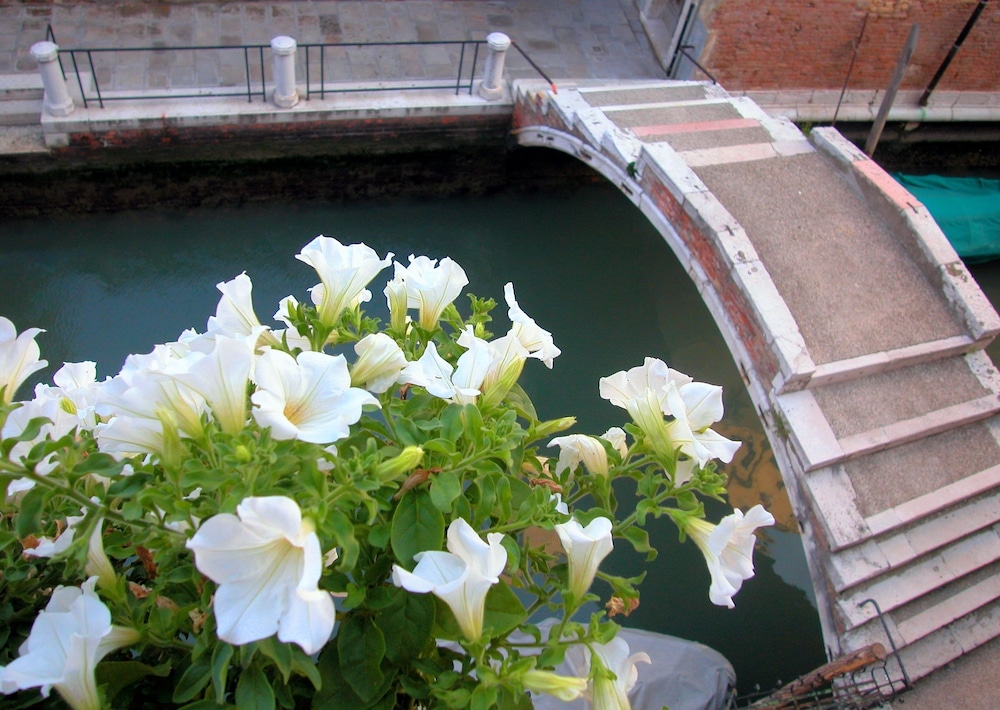 3749 Ponte Chiodo Guest House 39/46