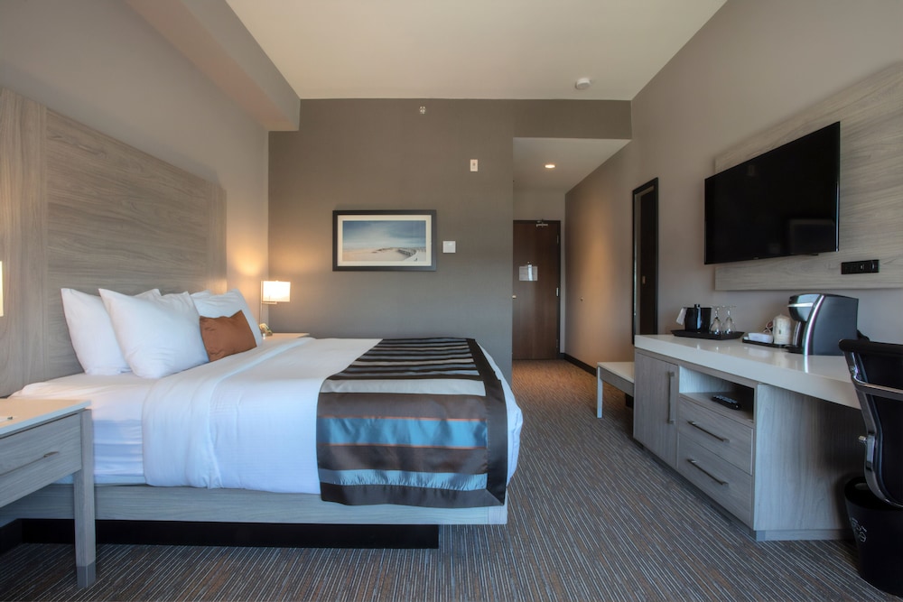 Room, King Bed
