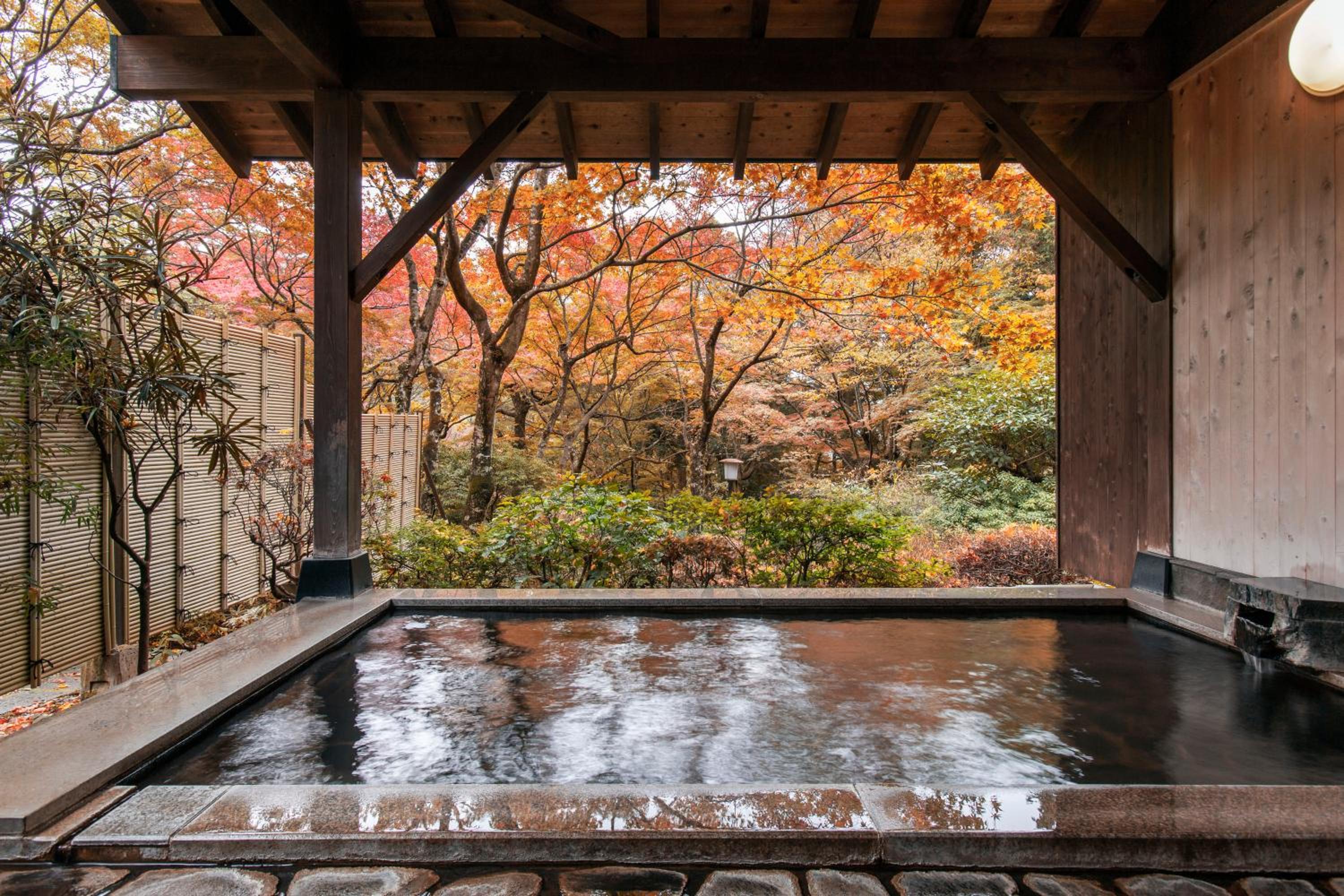 JAPANESE, SAKURA, MAIN BUILDING