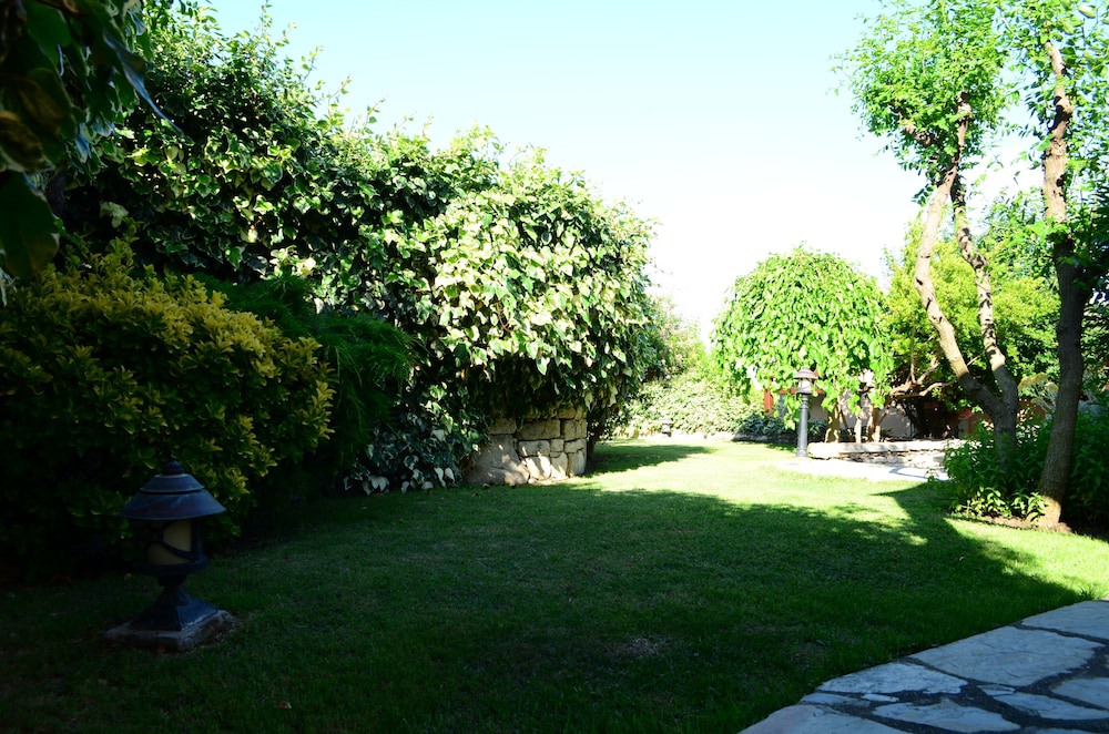 Ada Bacchus Hotel 25/50