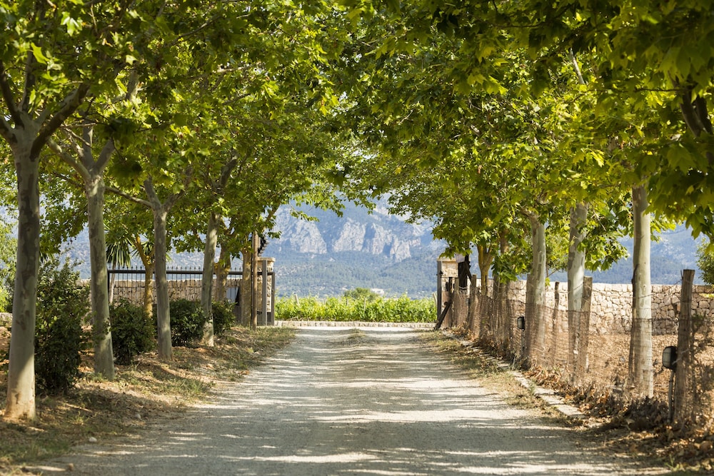 Agrotourism Sa Torre de Santa Eugenia - Adults Only 36/45