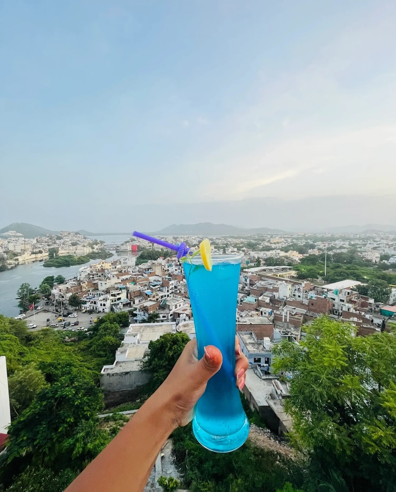 Hotel Darbargarh Udaipur 39/50