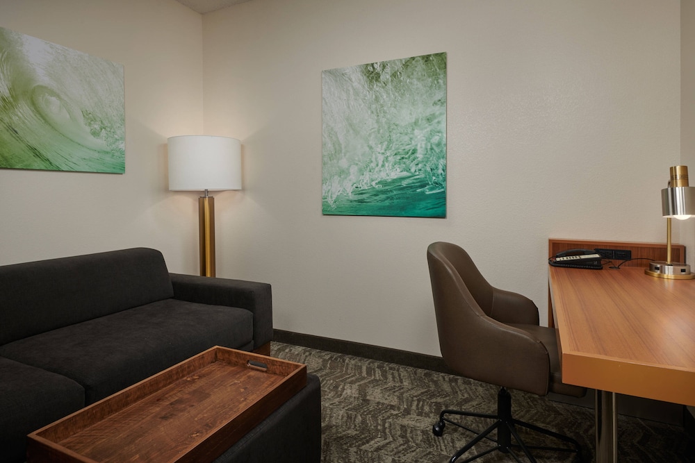 SpringHill Suites by Marriott Baton Rouge North/Airport 26/38