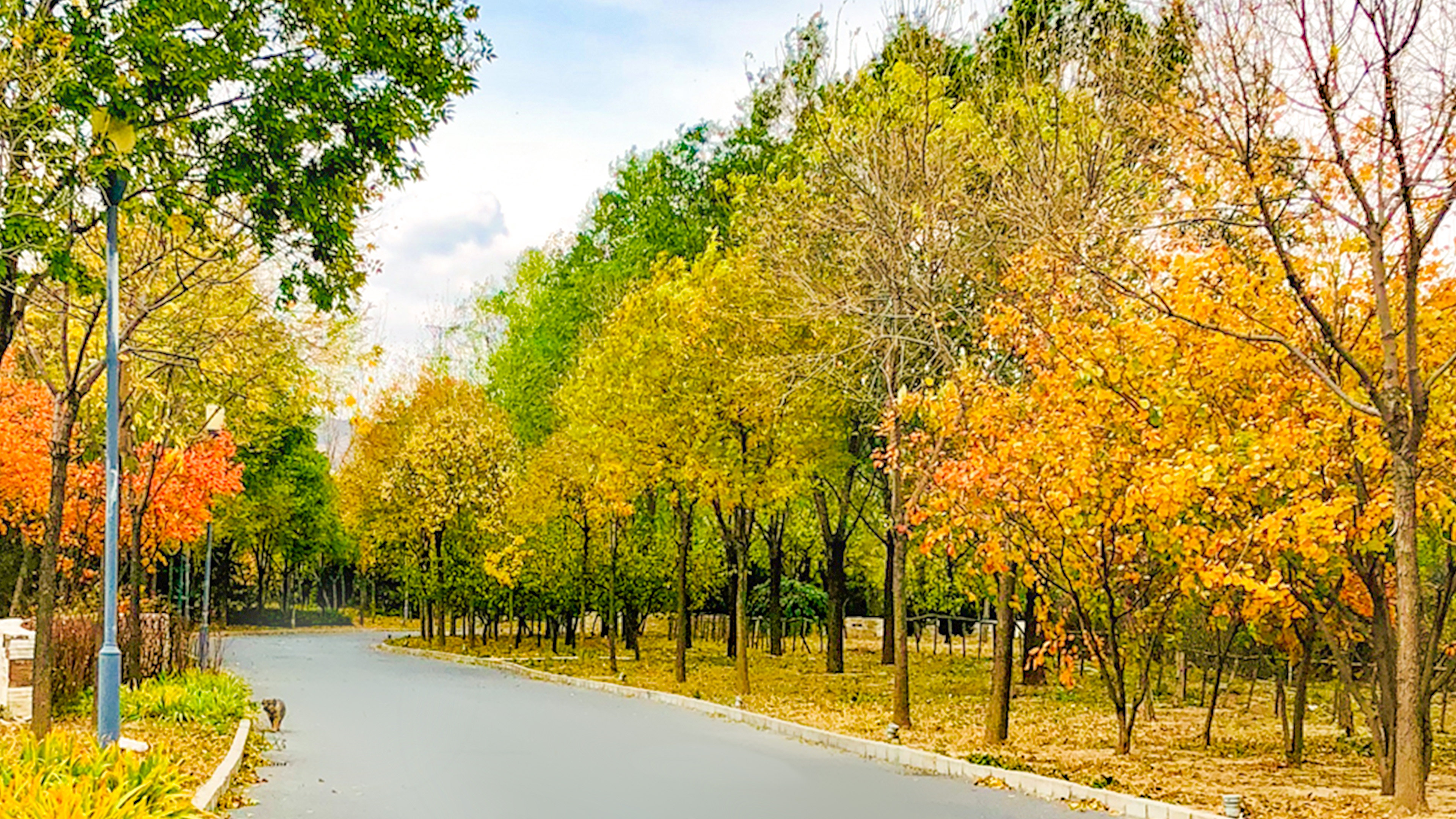 Holiday Inn Beijing Shijingshan Parkview 75/78