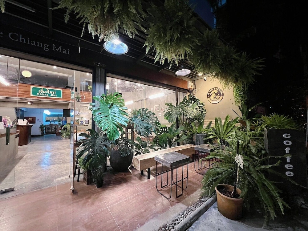 B House Chiangmai Hotel 4/50