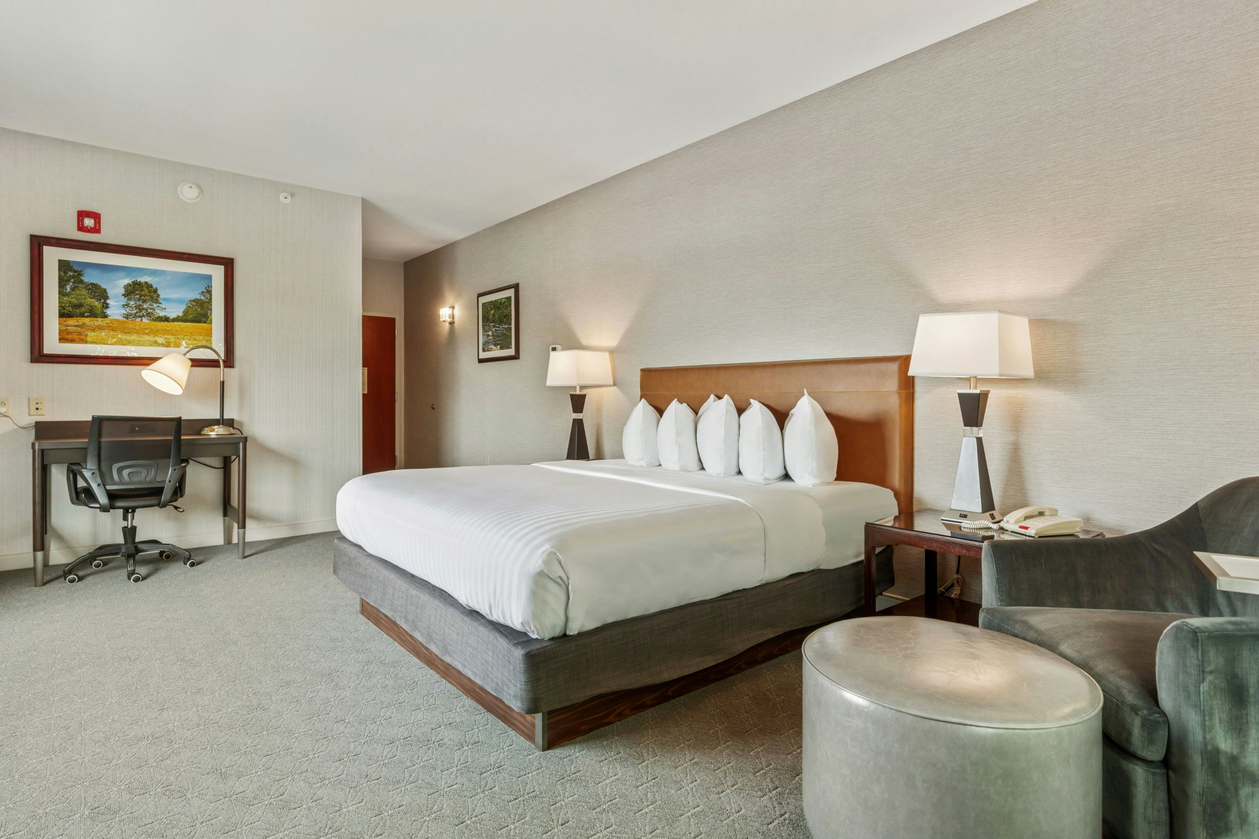 Hotel Warner 28/66
