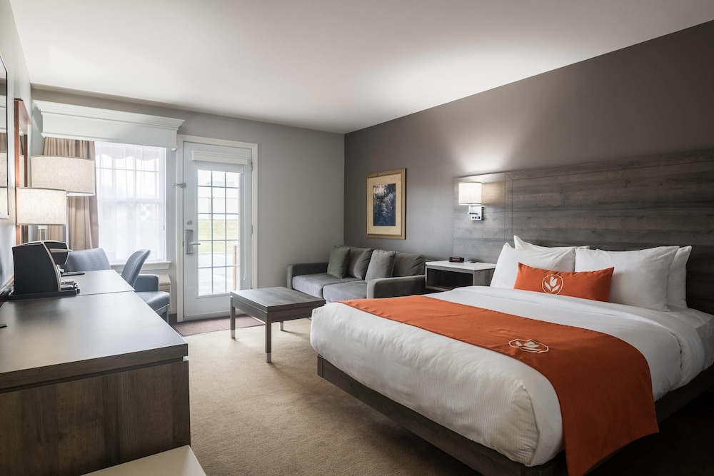 Standard, Queen Bed, Sofa, Ground Floor, Amsterdam Inn & Suites Moncton 2/4