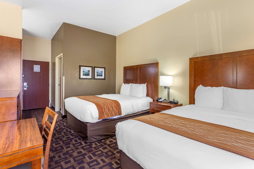 Comfort Inn and Suites North Aurora Naperville 6/50