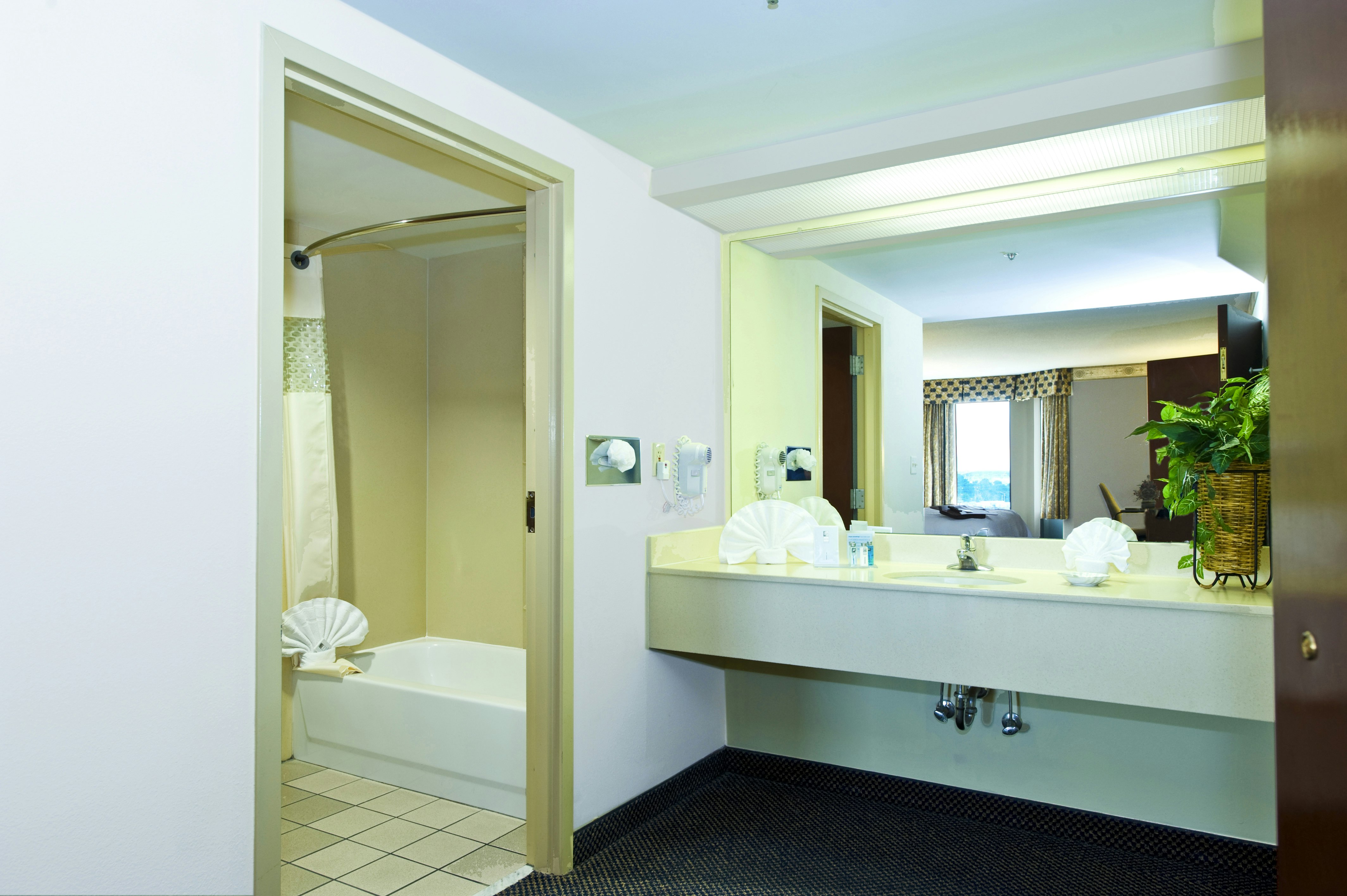 Hampton Inn Suites Atlanta Airport North I85 70/71