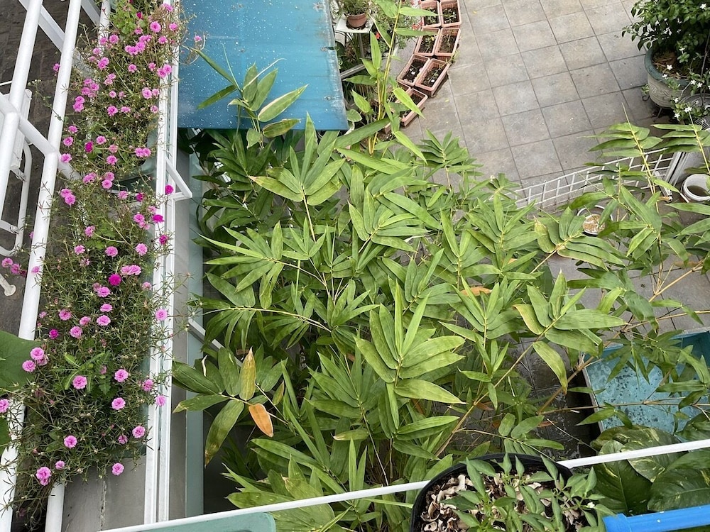 Khach san Minh Chau Hoa Hung 40/50