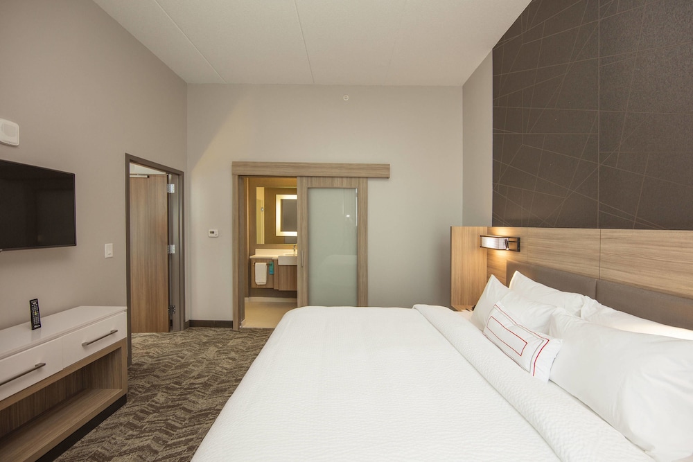 SpringHill Suites by Marriott Athens Downtown/University Area 18/41